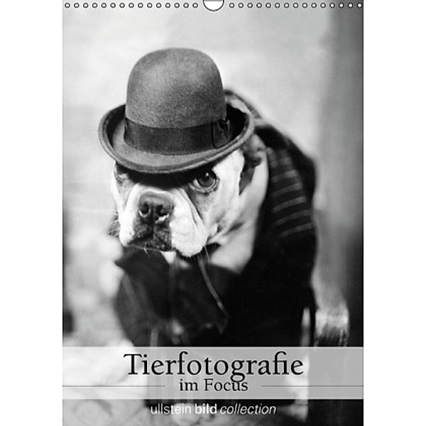 Tierfotografie im Focus (Wandkalender 2016 DIN A3 hoch), ullstein bild Axel Springer Syndication GmbH