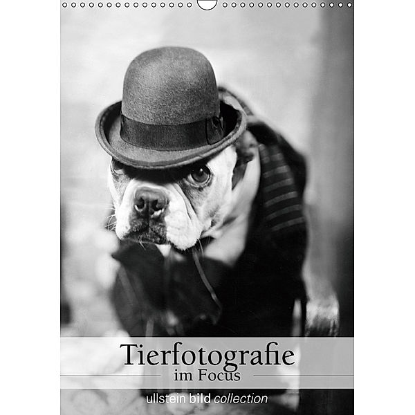 Tierfotografie im Focus (Wandkalender 2019 DIN A3 hoch), Ullstein Bild Axel Springer Syndication GmbH