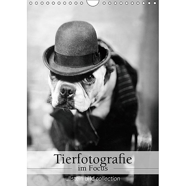 Tierfotografie im Focus (Wandkalender 2019 DIN A4 hoch), Ullstein Bild Axel Springer Syndication GmbH