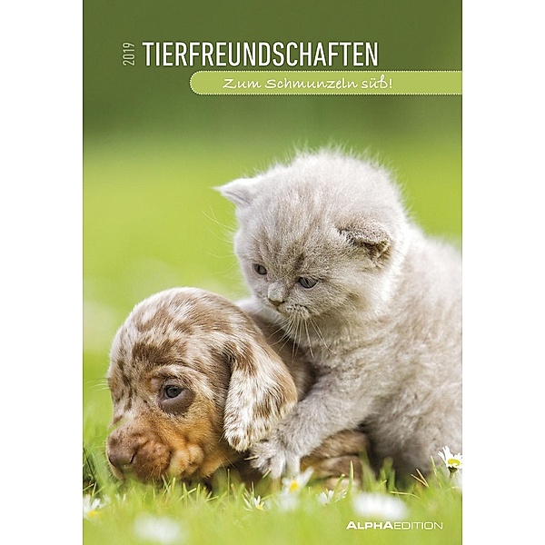 Tierfreundschaften 2019, ALPHA EDITION