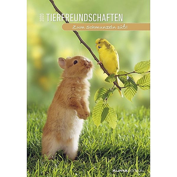 Tierfreundschaften 2020, ALPHA EDITION