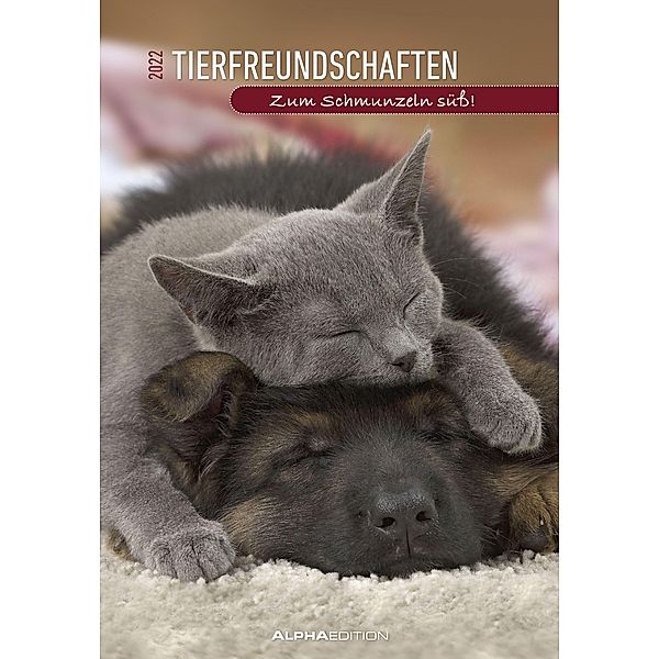 Tierfreundschaften 2022 - Bildkalender 23,7x34 cm - Kalender mit Platz für Notizen - mit vielen Zusatzinformationen - Wa