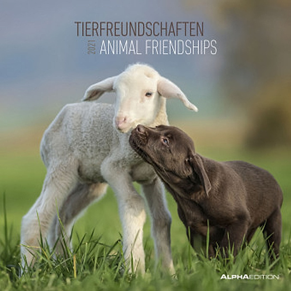 Tierfreundschaften / Animal Friendships 2021