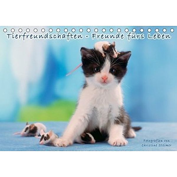 Tierfreundschaften - Freunde fürs Leben (Tischkalender 2020 DIN A5 quer), Christine Steimer