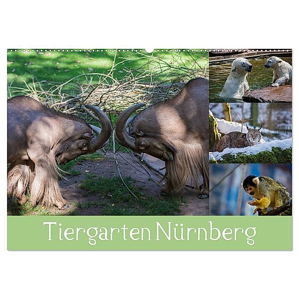 Tiergarten Nürnberg (Wandkalender 2024 DIN A2 quer), CALVENDO Monatskalender, Ronny Haas