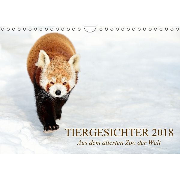 Tiergesichter 2018 (Wandkalender 2018 DIN A4 quer), Manfred Stotz