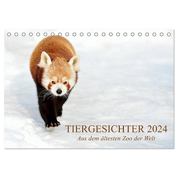 Tiergesichter 2024 (Tischkalender 2024 DIN A5 quer), CALVENDO Monatskalender, Manfred Stotz