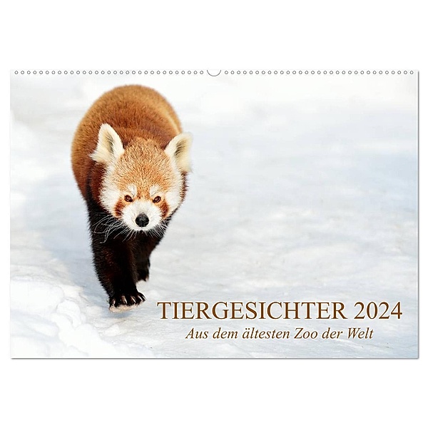 Tiergesichter 2024 (Wandkalender 2024 DIN A2 quer), CALVENDO Monatskalender, Manfred Stotz