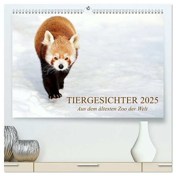 Tiergesichter 2025 (hochwertiger Premium Wandkalender 2025 DIN A2 quer), Kunstdruck in Hochglanz, Calvendo, Manfred Stotz