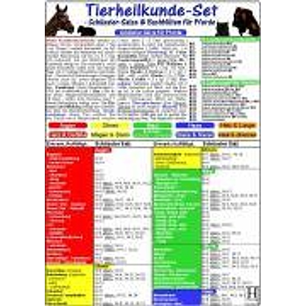 Tierheilkunde-Karten Set/Schüssler Salze/Bachbl./Pferde