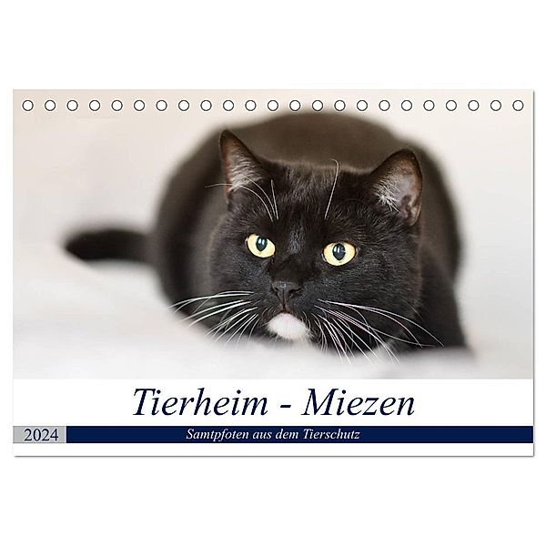 Tierheim - Miezen (Tischkalender 2024 DIN A5 quer), CALVENDO Monatskalender, Doris Metternich