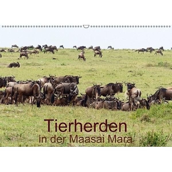 Tierherden in der Maasai Mara (Wandkalender 2017 DIN A2 quer), Brigitte Dürr