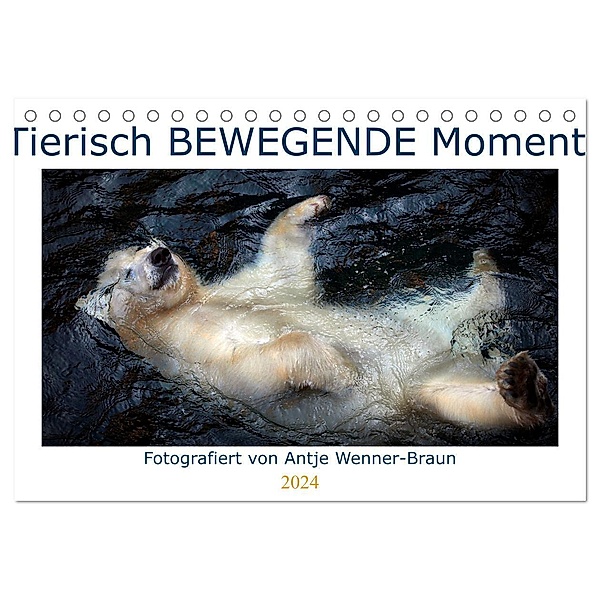 Tierisch BEWEGENDE Momente (Tischkalender 2024 DIN A5 quer), CALVENDO Monatskalender, Antje Wenner-Braun