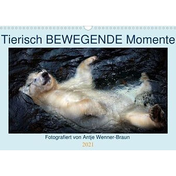 Tierisch BEWEGENDE Momente (Wandkalender 2021 DIN A3 quer), Antje Wenner-Braun