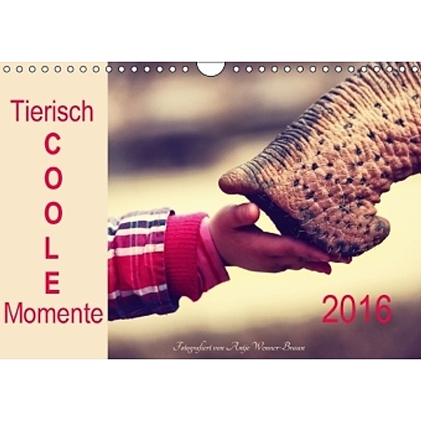 Tierisch COOLE Momente 2016 (Wandkalender 2016 DIN A4 quer), Antje Wenner-Braun