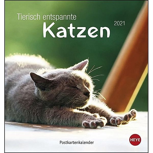 Tierisch entspannte Katzen Postkartenkalender 2021