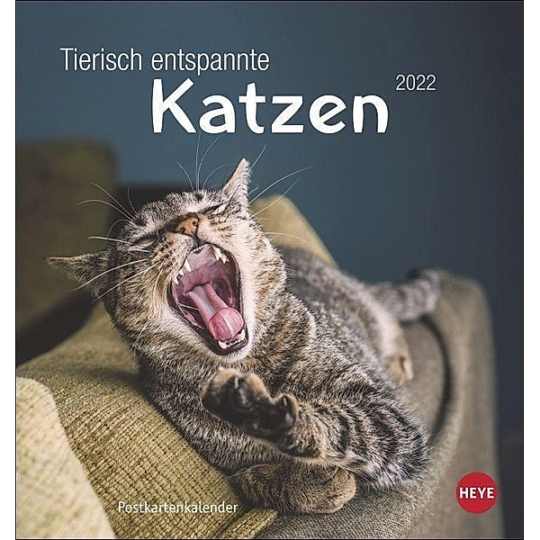 Tierisch entspannte Katzen Postkartenkalender 2022
