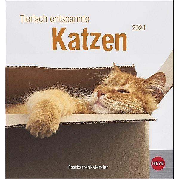 Tierisch entspannte Katzen Postkartenkalender 2024. Witzige Fotos verschlafender Stubentiger in einem Tischkalender zum Aufstellen oder Aufhängen. Kleiner Kalender 2024 für Katzenfans.