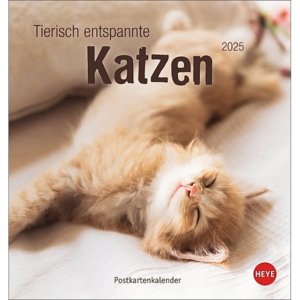 Tierisch entspannte Katzen Postkartenkalender 2025