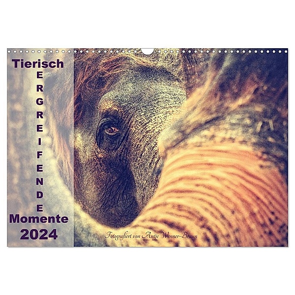 Tierisch ERGREIFENDE Momente 2024 (Wandkalender 2024 DIN A3 quer), CALVENDO Monatskalender, Antje Wenner-Braun