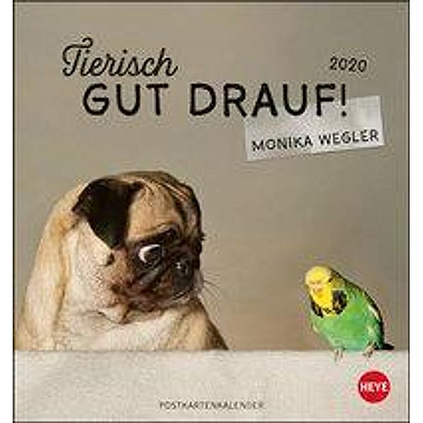 Tierisch gut drauf Postkartenkalender 2020, Monika Wegler