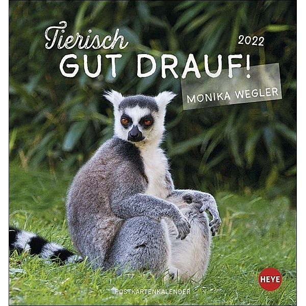 Tierisch gut drauf Postkartenkalender 2022, Monika Wegler