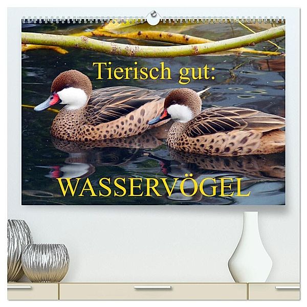 Tierisch gut: Wasservögel (hochwertiger Premium Wandkalender 2024 DIN A2 quer), Kunstdruck in Hochglanz, Gisela Kruse