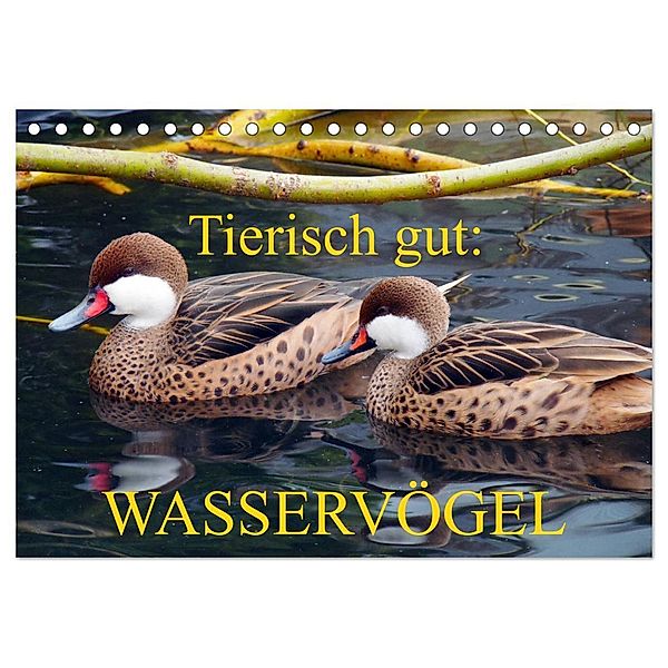 Tierisch gut: Wasservögel (Tischkalender 2025 DIN A5 quer), CALVENDO Monatskalender, Calvendo, Gisela Kruse