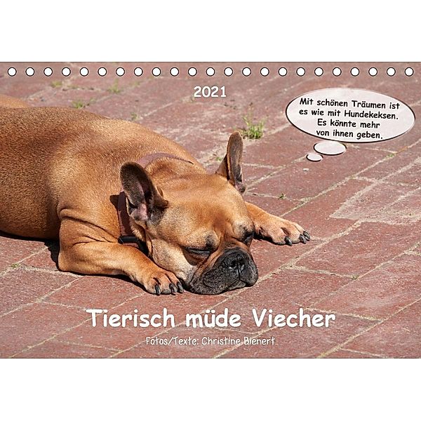 Tierisch müde Viecher (Tischkalender 2021 DIN A5 quer), Christine Bienert