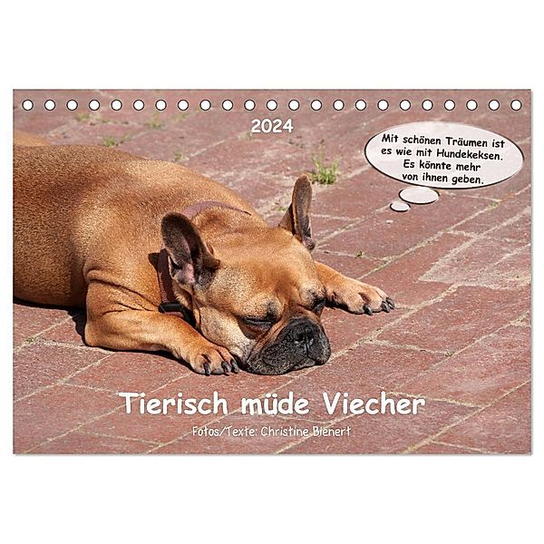 Tierisch müde Viecher (Tischkalender 2024 DIN A5 quer), CALVENDO Monatskalender, Christine Bienert