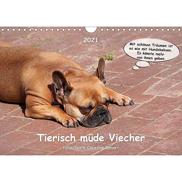 Tierisch müde Viecher (Wandkalender 2021 DIN A4 quer), Christine Bienert