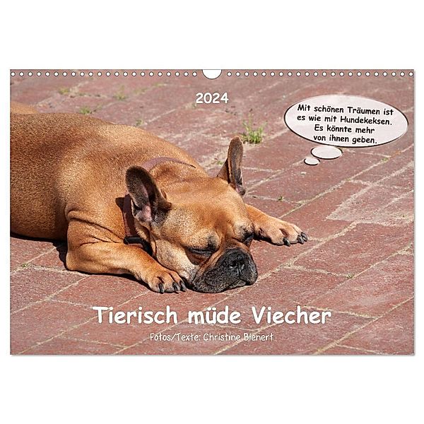 Tierisch müde Viecher (Wandkalender 2024 DIN A3 quer), CALVENDO Monatskalender, Christine Bienert