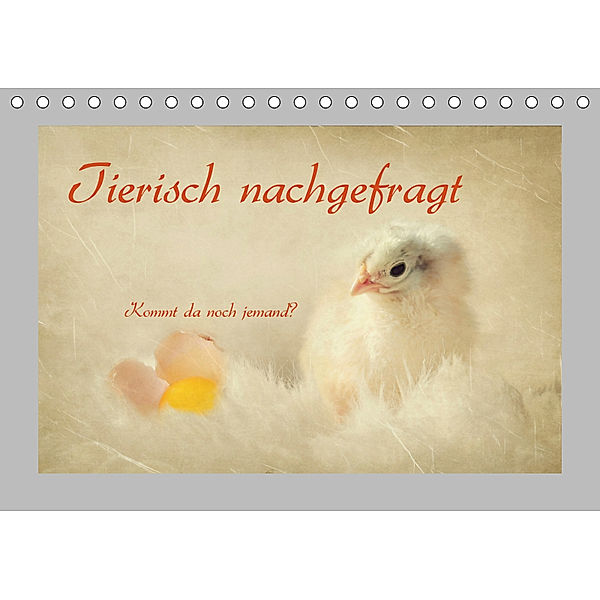 Tierisch nachgefragt (Tischkalender 2019 DIN A5 quer), Heike Hultsch