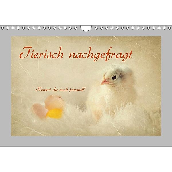 Tierisch nachgefragt (Wandkalender 2020 DIN A4 quer), Heike Hultsch