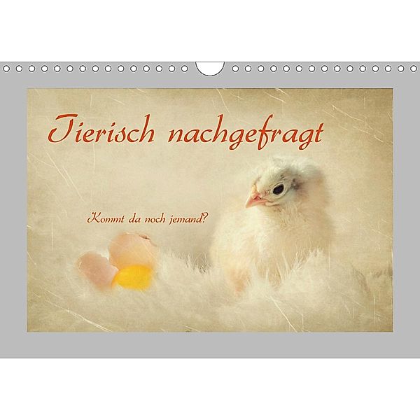 Tierisch nachgefragt (Wandkalender 2021 DIN A4 quer), Heike Hultsch