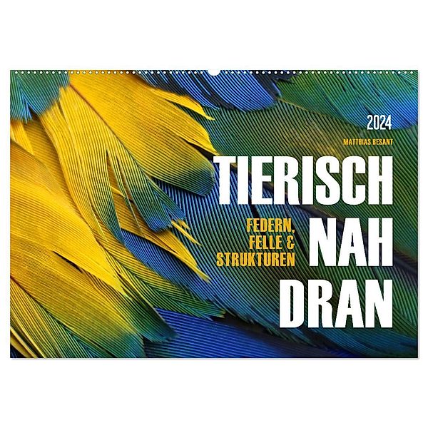 TIERISCH NAH DRAN (Wandkalender 2024 DIN A2 quer), CALVENDO Monatskalender, Matthias Besant