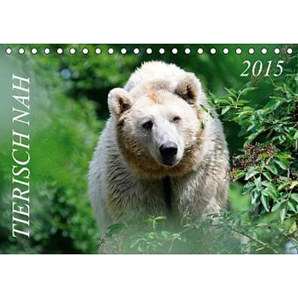 Tierisch nah / Geburtstagskalender (Tischkalender 2015 DIN A5 quer), Nonstopfoto