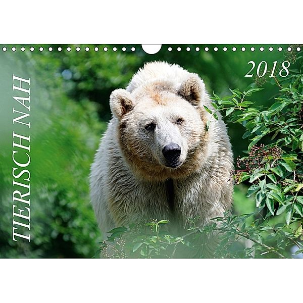 Tierisch nah / Geburtstagskalender (Wandkalender 2018 DIN A4 quer), Nonstopfoto