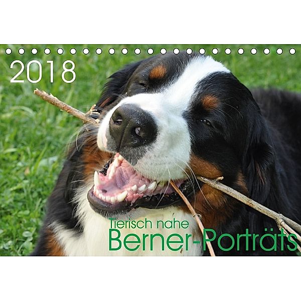 Tierisch nahe Berner-Porträts (Tischkalender 2018 DIN A5 quer), Sonja Brenner