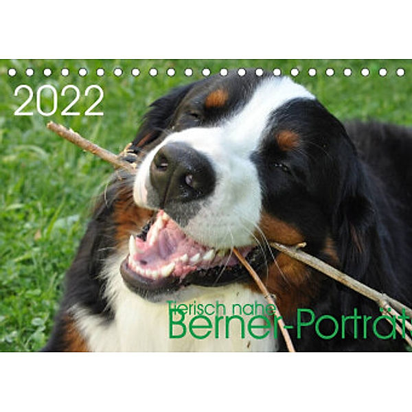 Tierisch nahe Berner-Porträts (Tischkalender 2022 DIN A5 quer), Sonja Brenner