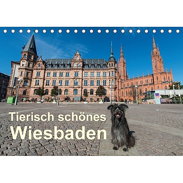 Tierisch schönes Wiesbaden (Tischkalender 2018 DIN A5 quer), Claudia Pelzer