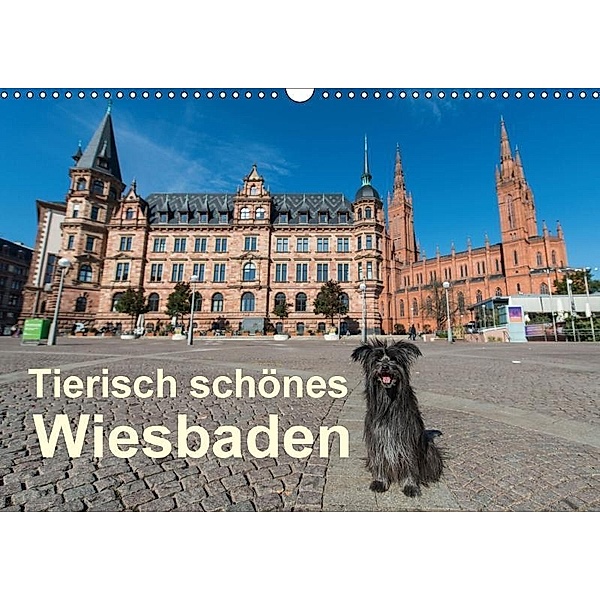 Tierisch schönes Wiesbaden (Wandkalender 2017 DIN A3 quer), Claudia Pelzer