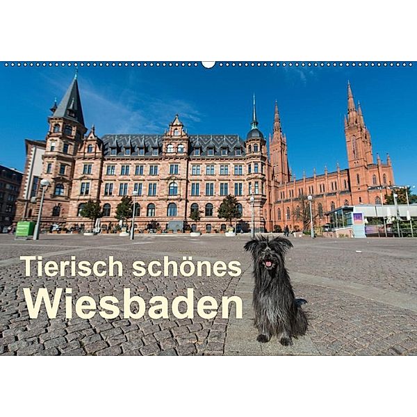 Tierisch schönes Wiesbaden (Wandkalender 2020 DIN A2 quer), Claudia Pelzer