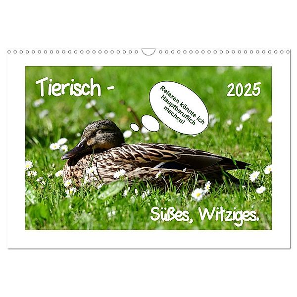 Tierisch - Süßes, Witziges. (Wandkalender 2025 DIN A3 quer), CALVENDO Monatskalender, Calvendo, Marlise Gaudig