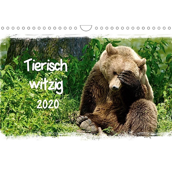 Tierisch witzig (Wandkalender 2020 DIN A4 quer), Axel Kottal