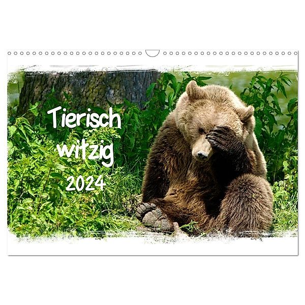 Tierisch witzig (Wandkalender 2024 DIN A3 quer), CALVENDO Monatskalender, Axel  /  Elsner, Claudia Kottal