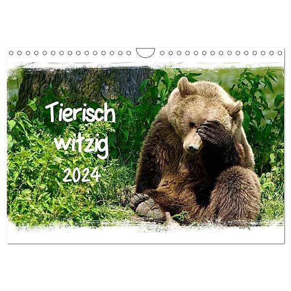 Tierisch witzig (Wandkalender 2024 DIN A4 quer), CALVENDO Monatskalender, Axel  /  Elsner, Claudia Kottal