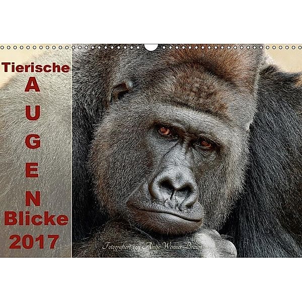 Tierische Augen-Blicke 2017 (Wandkalender 2017 DIN A3 quer), Antje Wenner-Braun