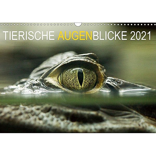 Tierische Augenblicke 2021 (Wandkalender 2021 DIN A3 quer), Katja Jentschura