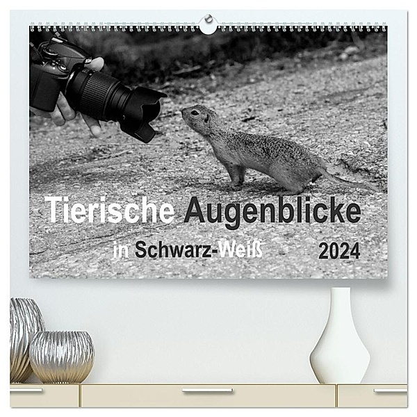 Tierische Augenblicke in Schwarz-Weiß (hochwertiger Premium Wandkalender 2024 DIN A2 quer), Kunstdruck in Hochglanz, Marianne Drews
